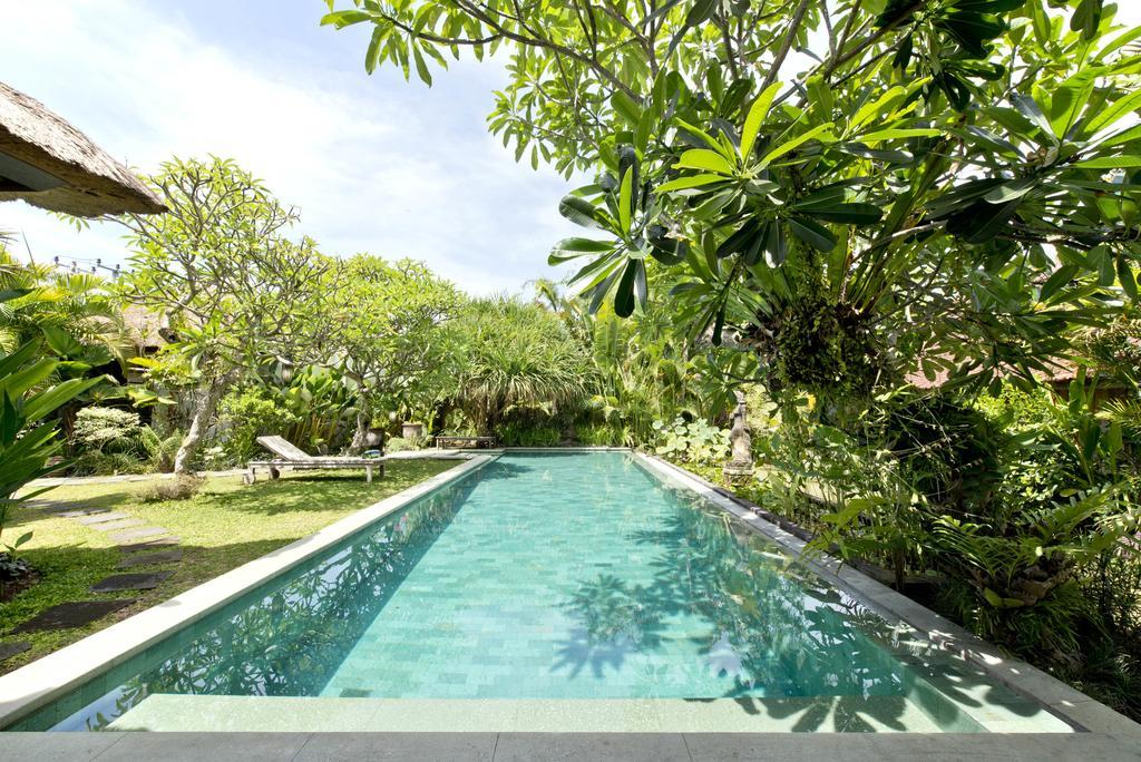 סמיניאק Bali Villa Aja מראה חיצוני תמונה